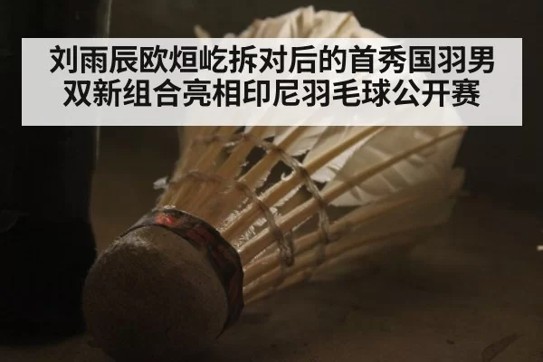 刘雨辰欧烜屹拆对后的首秀国羽男双新组合亮相印尼羽毛球公开赛